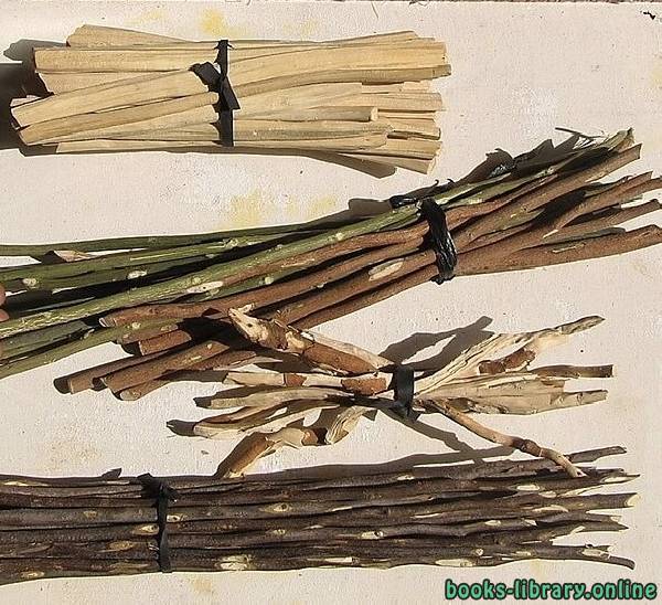The Bundle Of Sticks