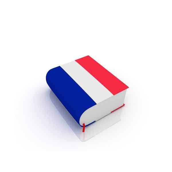 قراءة و تحميل كتابكتاب اللغة الفرنسية الرائع  Outils pour le français + 900 exercices PDF