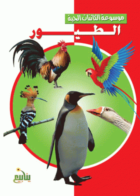 ❞ كتاب الطيور ❝  ⏤ نهى محمد