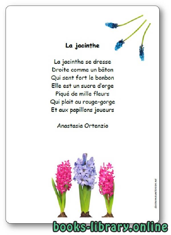 قراءة و تحميل كتاب Poésie « La jacinthe » d’Anastasia Ortenzio PDF