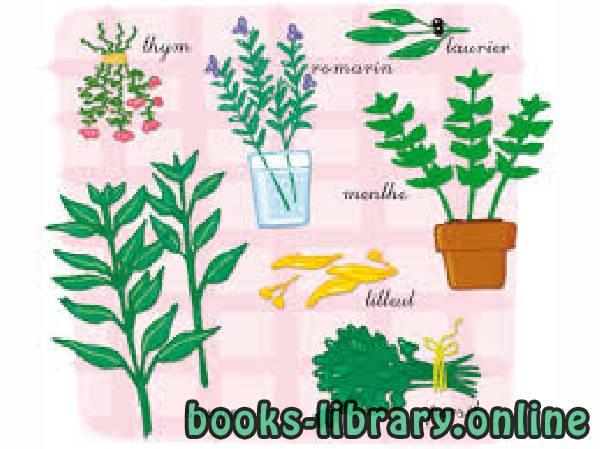 قراءة و تحميل كتاب Jeu-des-7-familles-Les-plantes-aromatiques PDF
