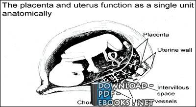 ❞ كتاب Obstetrics Kasr ِAl-Ainy department book fertilization implantation ❝ 