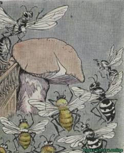 The Bees And Wasps And The Hornet 