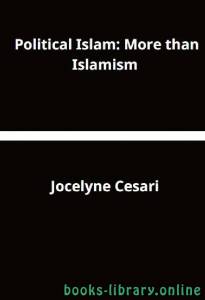  Political Islam: More than Islamism 