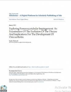 Exploring Femoroacetabular Impingement: An Examination Of The Evolution Of The Disease And Implications For The Development Of Osteoarthritis 