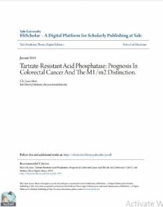 Tartrate-Resistant Acid Phosphatase: Prognosis In Colorectal Cancer And The M1/m2 Distinction 