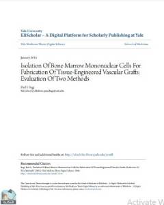Isolation Of Bone Marrow Mononuclear Cells For Fabrication Of Tissue-Engineered Vascular Grafts: Evaluation Of Two Methods 