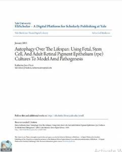 Autophagy Over The Lifespan: Using Fetal, Stem Cell, And Adult Retinal Pigment Epithelium (rpe) Cultures To Model Amd Pathogenesis 