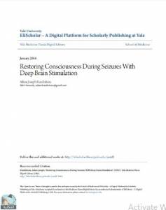 Restoring Consciousness During Seizures With Deep Brain Stimulation 