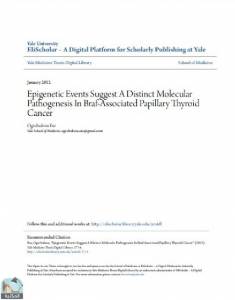 Epigenetic Events Suggest A Distinct Molecular Pathogenesis In Braf-Associated Papillary Thyroid Cancer 