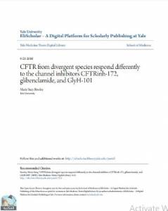 CFTR from divergent species respond differently to the channel inhibitors CFTRinh-172, glibenclamide, and GlyH-101 